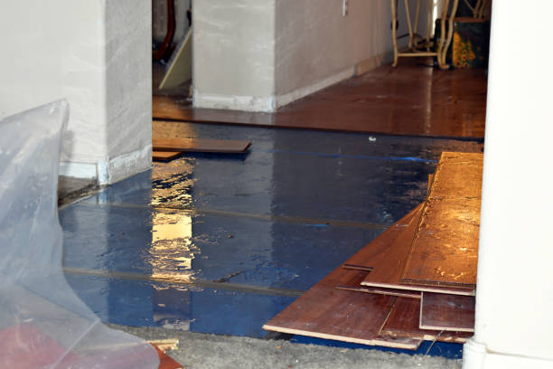 Professional Basement Flooding technician working in Cohasset, MA